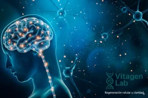 peptidos-para-funcionamiento-cerebral-cognitivo-y-reparador
